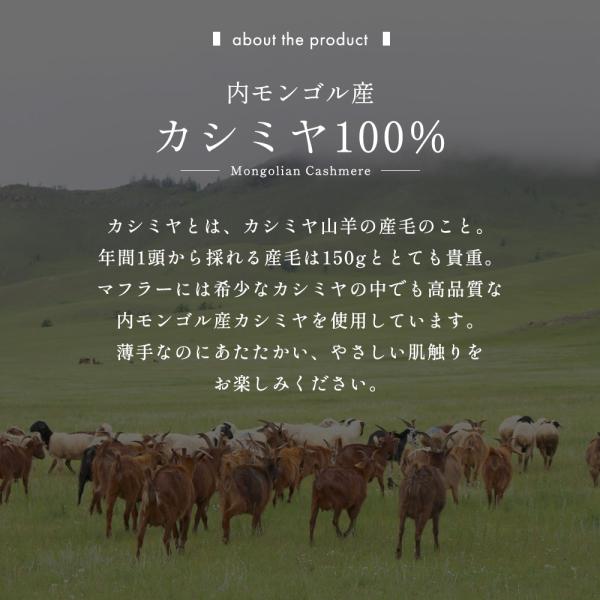 alg-select_al0303000_4_d_20251016104433