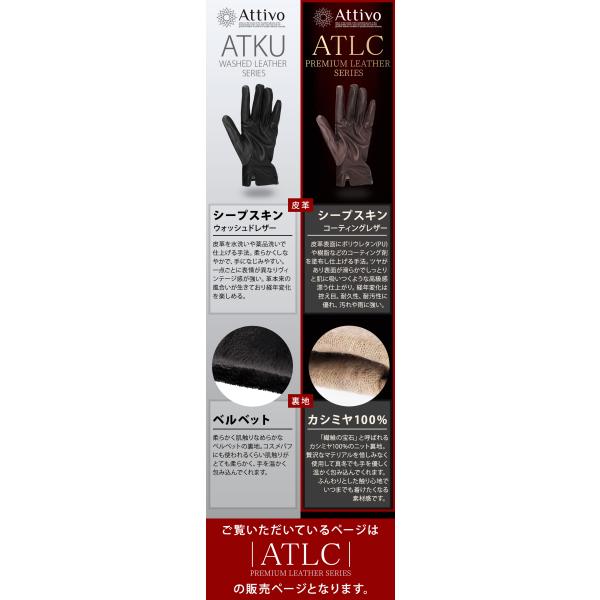 alg-select_atlc001_1_d_20251121150754