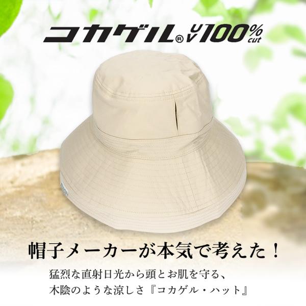 alg-select_cc2r803_1_d_20260218153615