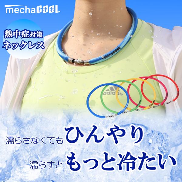 alg-select_mccr_1_d_20240402094647