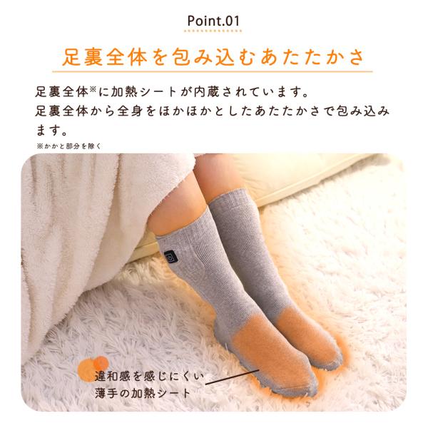 alg-select_mhskf01set_6_d_20241030160652