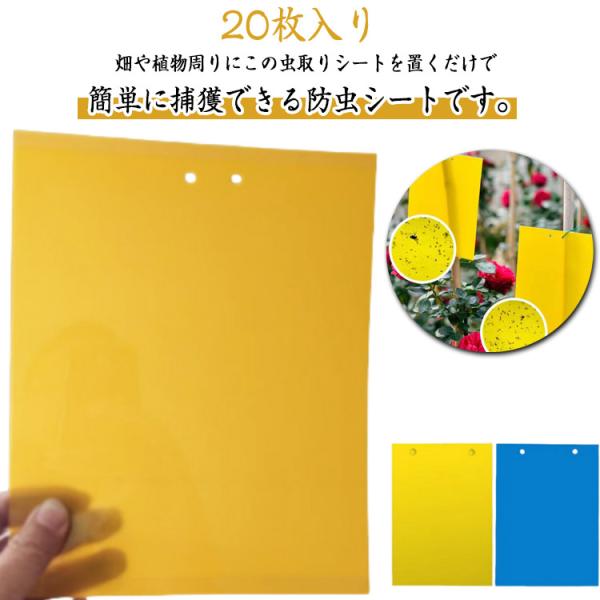 20枚入り 虫捕り粘着シート 粘着シート 昆虫トラップ 強力粘着 虫取り アブラムシ 両面用 害虫対策 キャッチャー 捕虫シート ハエ 昆虫スティッキ