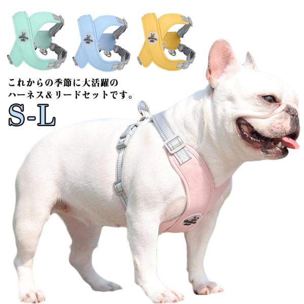 お散歩 リード セット チワワ 小型犬 負担軽減 ハーネス 超軽量 犬用