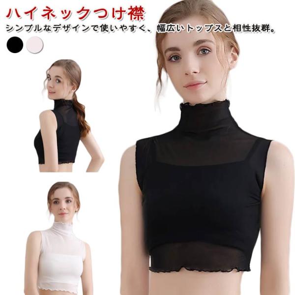 付け衿 薄手 つけ襟 タートルネック レディース 夏 つけ衿 ネックカバー シースルー おしゃれ レイヤード 付け襟 ネックウォーマー 秋冬 春 首だ