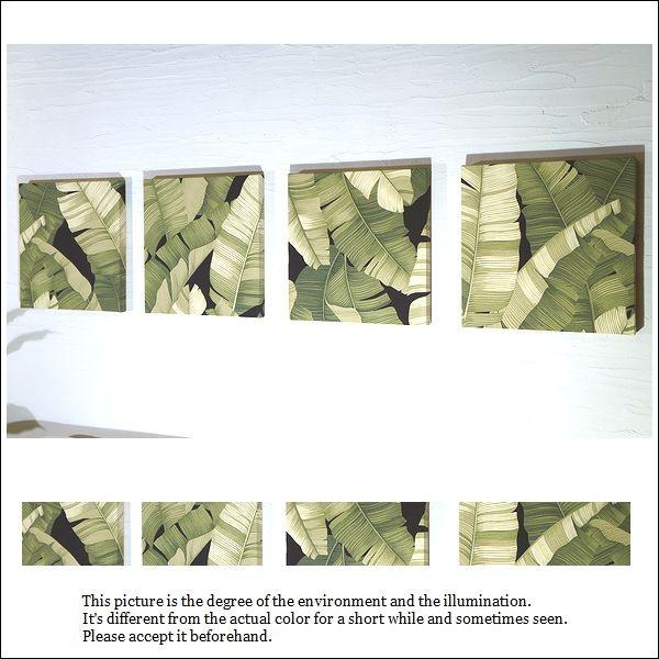 t@ubNpl    A[gpl@Cloroplast fade 30×30cm 4 BKF 򂹂O[  nCA