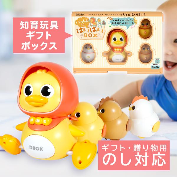 ギフトラッピング 熨斗対応可】LittleRex アヒル いっしょにハイハイ