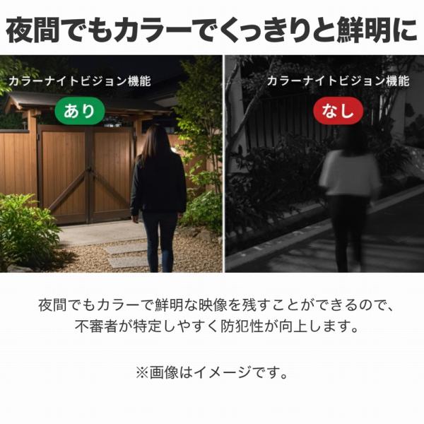 alicemall_49ank5001_4_d_20260220140823