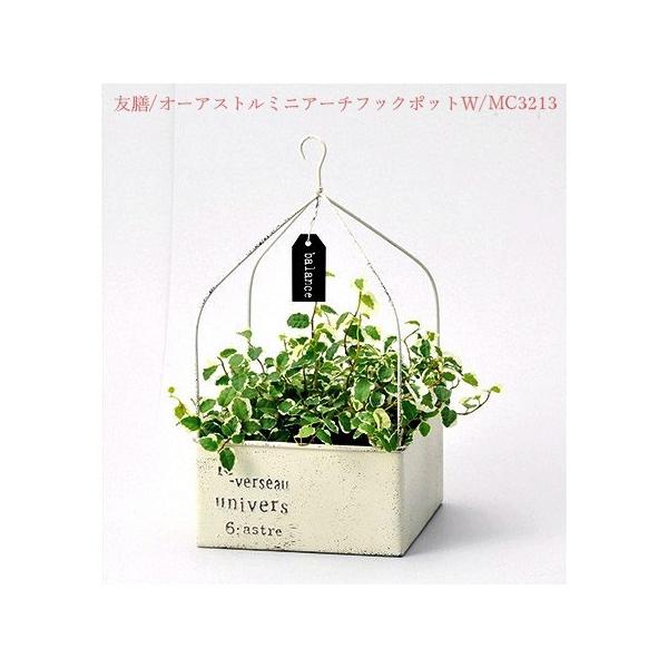 FV/I[AXg~jA[`tbN|bgv/MC3213yAX̎ԁz