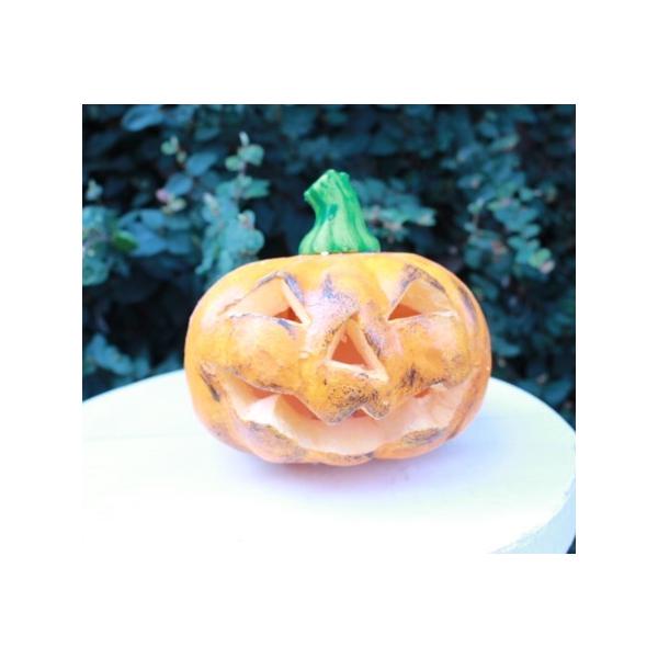 RxgK[f@pvLLEDCgS@yAX̎ԁz