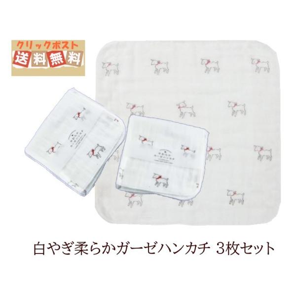 炩K[[nJ` M€3A\[gZbgAX̎ԁz