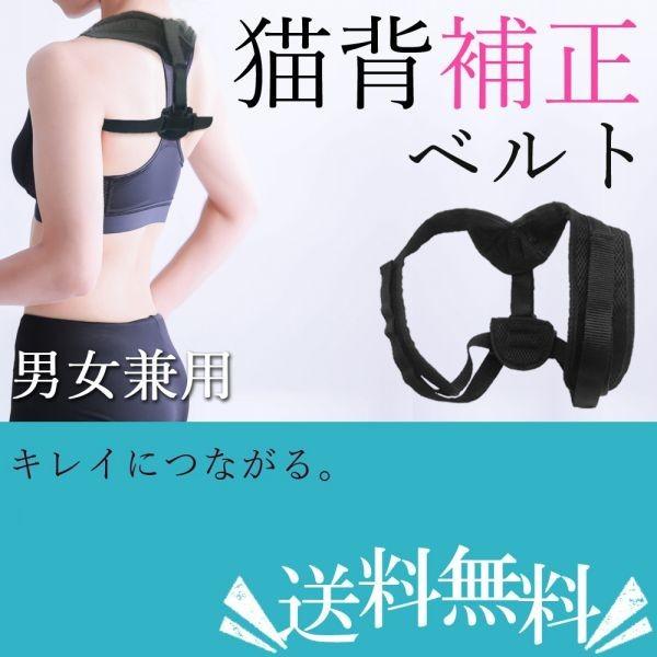 Lw␳xg w p ␳ T|[^[ jp 