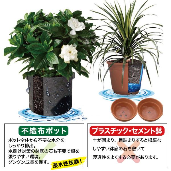 植木鉢 おしゃれ 不織布ポット プランター 大型 フエルト 水はけ 軽い 軽量 深鉢 根域制限1ガロン F18 15 3点セット Feltpots 1g Alioli アリオリ 通販 Yahoo ショッピング