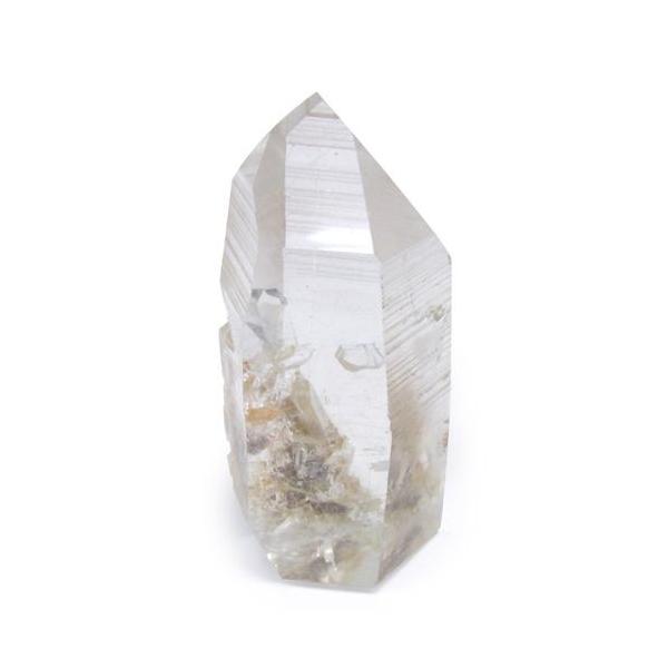 ѓ |Cg 65g u z z VR p[Xg[ 蕨  NH[c a 4