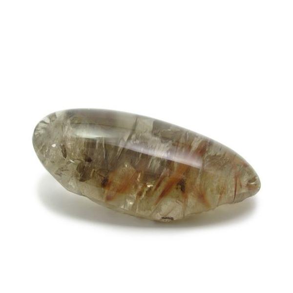 bh`NI[c  z z 113g VR p[Xg[ u 蕨 j ^u