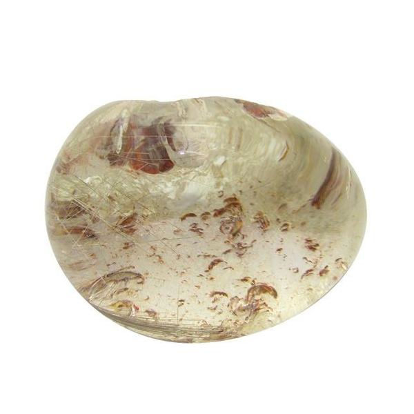 j `NI[c  z z 205g VR p[Xg[ u 蕨 j ^u