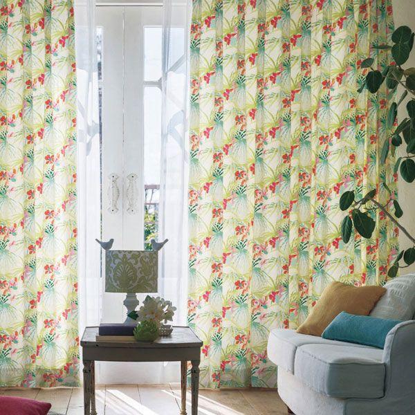 �v�������A �V���R�[��