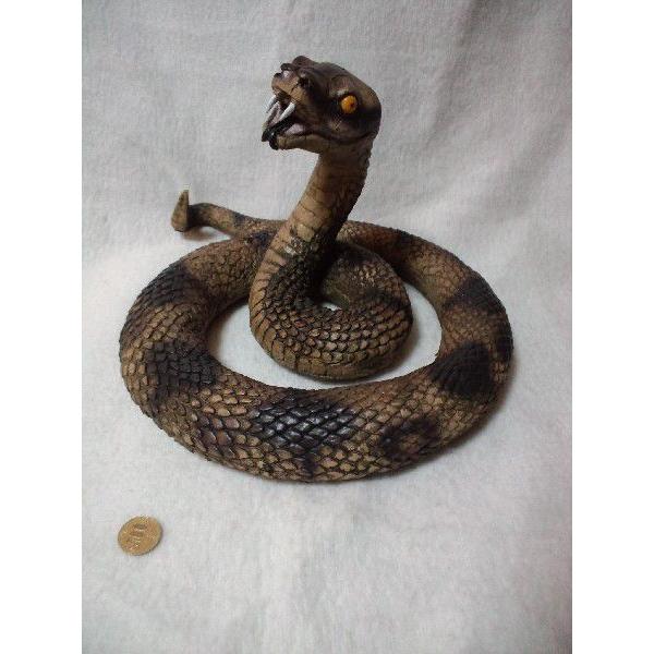毒蛇クロタルス ガラガラヘビ とぐろ直径33ｃｍ Buyee Buyee 日本の通販商品 オークションの代理入札 代理購入