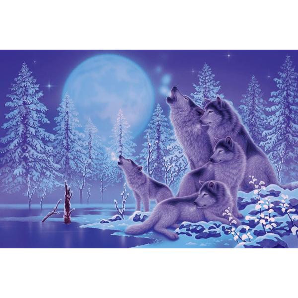 G|bN@WO\[pY@1000s[X@@쌒Y@@Ƒ̎@@@@@@@IIJ~@Et@@A[g@G@CXg@