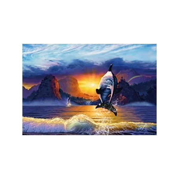 ro[  WO\[pY  1000s[X    bZ     The Ocean Of Departure  ̊C