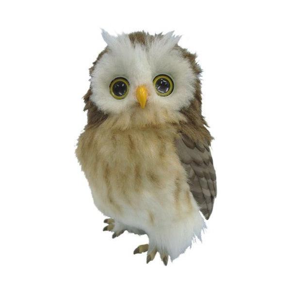 ZKgCY   ӂ낤         ʂ   o[`ybg 