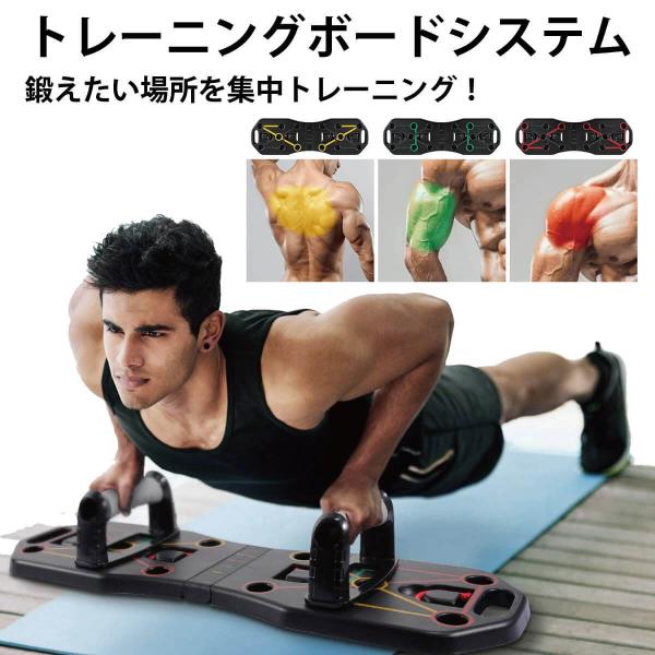 トレーニング ボード システム トレーニングチューブ・グローブ付き