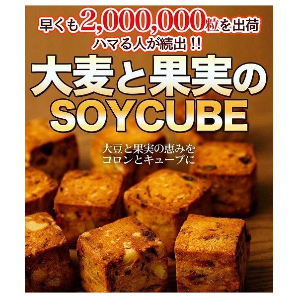 唞Ɖʎ̃\CL[u  󂠂 XC[c َq qX012 XC[c