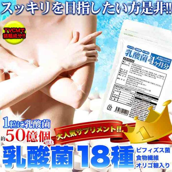 メガ盛り 乳酸菌 サプリメントどっさり約4ヶ月分 120粒 ビフィズス菌 食物繊維 オリゴ糖 入り コレステロール 免疫 肌 ラクトバチルス ロイテリ菌 SNC00010072