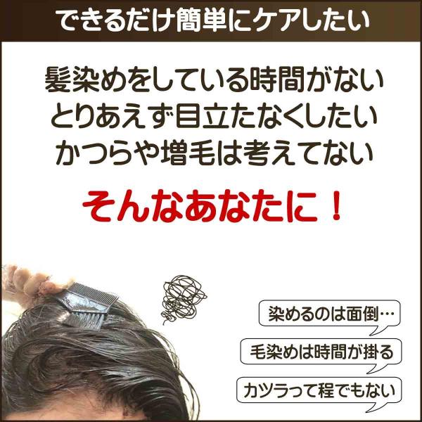 白髪隠し 薄毛隠し ファンデーション パウダー 簡単 手軽 ポンポン 容器 白髪染め 薄毛 白髪かくし 女性用 男性用 ハゲ隠し 対策 隠す ファンデ 頭皮 白髪 Buyee Buyee 日本の通販商品 オークションの代理入札 代理購入