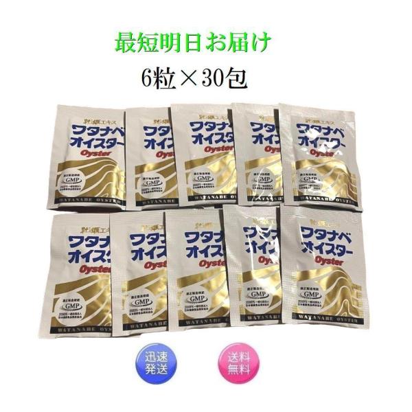 ワタナベオイスター 6粒×30袋 活性型牡蠣肉エキス 亜鉛 ミネラル ワタナベオイスター 6粒×30袋 活性型牡蠣肉エキス 亜鉛 ミネラル