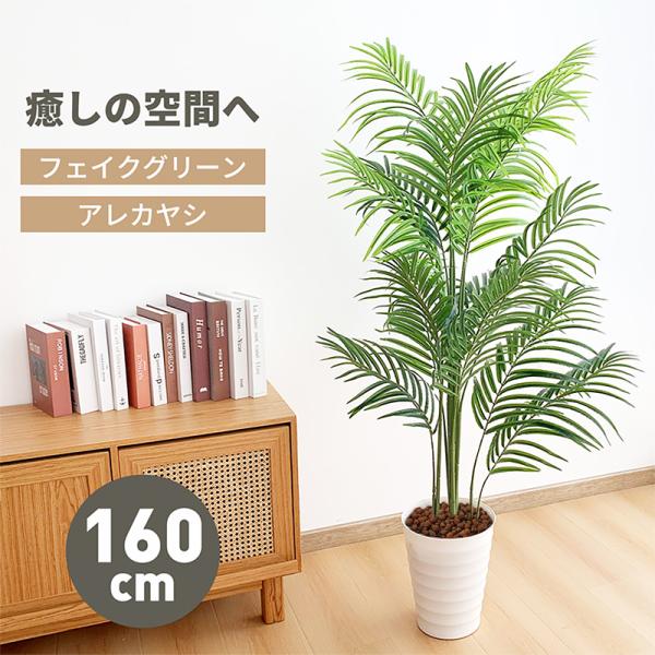 allin-japan_ck0928