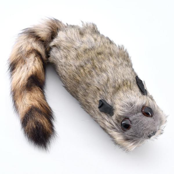 【並行輸入品】SUMAG The Rocky Raccoon Robbie Magic Tricks Spring Animal Toy Ap