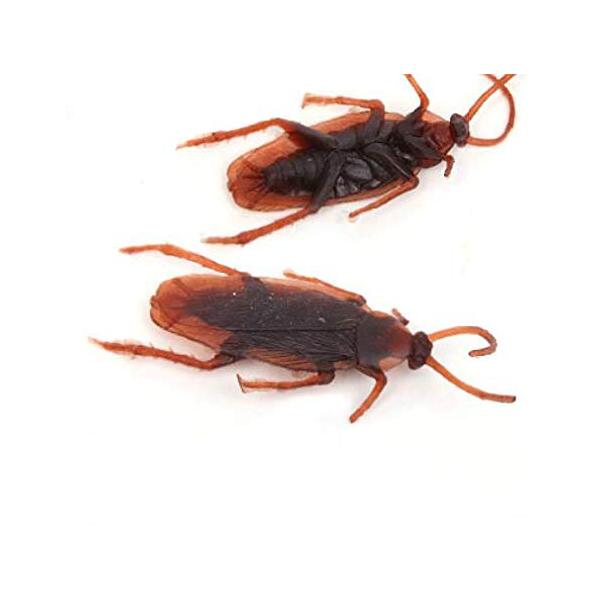 リアルゴキブリフェイク10個セットの驚き演出術