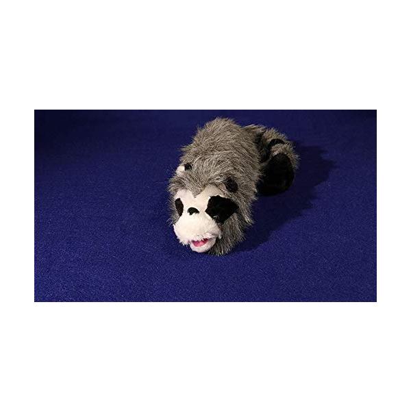 【並行輸入品】MJM アライグマのロクシー (春の動物) トリック MJM Roxie The Raccoon (Spring Animal