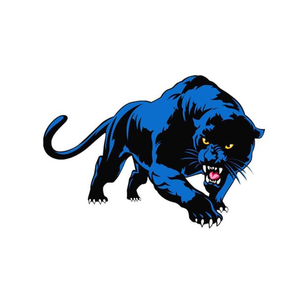 【並行輸入品】ihreesy Car Hood Sticker,3D Leopard Pattern Stickers Decals Self