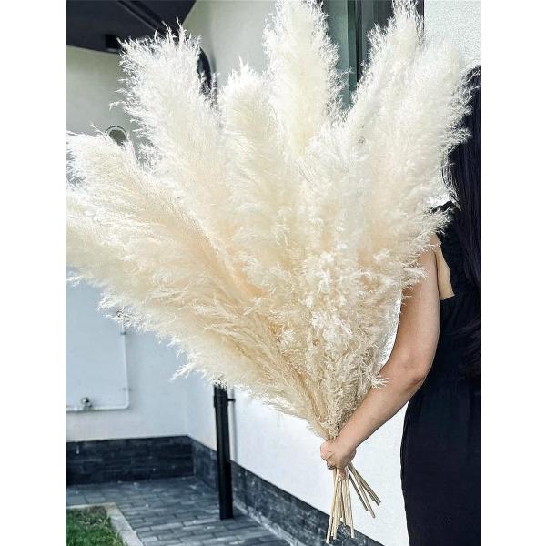 Fluffy パンパスグラス 本数UP‼︎パンパスグラス＊15pcs(ドライ
