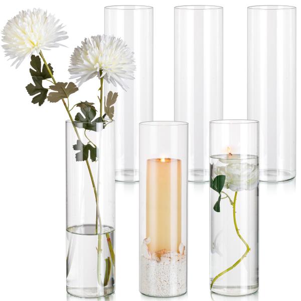 パンパスグラス6本＋花瓶 並行輸入品】Glasseam(グラスシーム) トールクリアシリンダー花瓶 大型