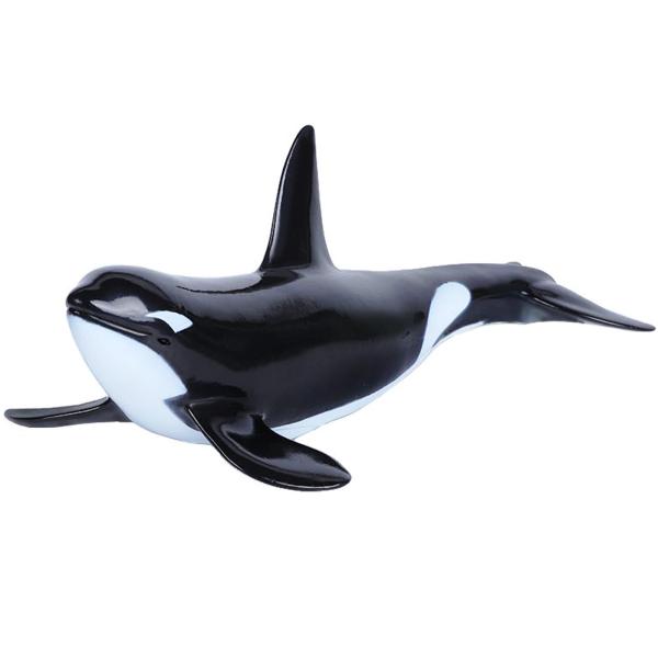 allinone-d_hfayb0c5cshwmck