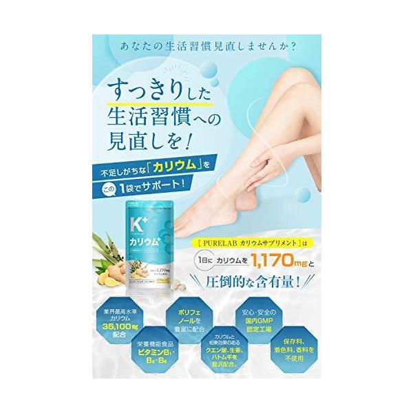 Purelab カリウムサプリメント カリウム1170mg 栄養機能食品ビタミンb B B ポリフェノール クエン酸 ハトムギ 生姜 日本製 Buyee Buyee 일본 통신 판매 상품 옥션의 대리 입찰 대리 구매 서비스