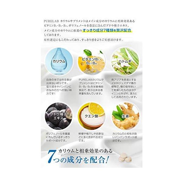 Purelab カリウムサプリメント カリウム1170mg 栄養機能食品ビタミンb B B ポリフェノール クエン酸 ハトムギ 生姜 日本製 Buyee Buyee 일본 통신 판매 상품 옥션의 대리 입찰 대리 구매 서비스