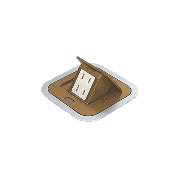 パナソニック　住宅用床用コンセント　F型アップコン　電源用　ケーブル工事用　2コ口（角形）　ダークブラウン（オーク）　DU1300DK