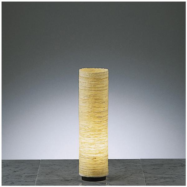 ENDO@LEDatAX^h 6500K-2700K  tXgNvg40W`@ERF2004NBivʔj