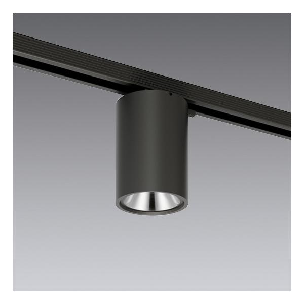 ENDO@LEDV[O_ECg z_Ng[p @ERG5555Bivʔj