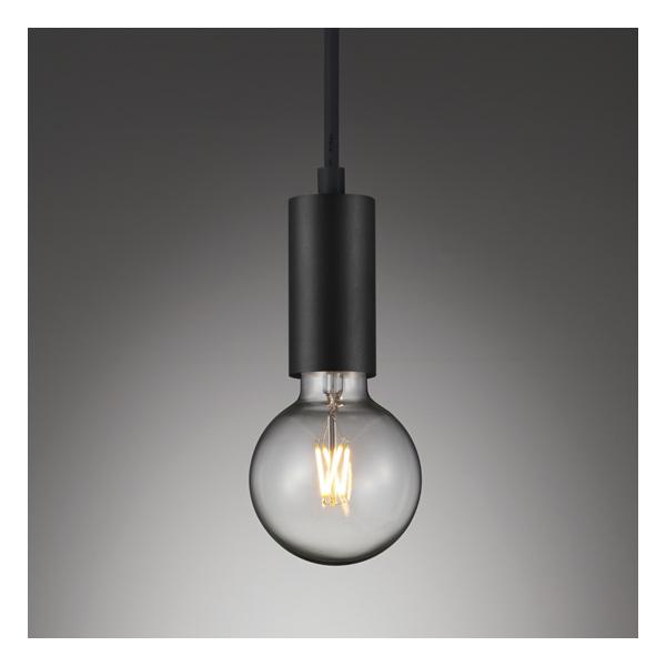 ENDO@LEDy_g@95{[40W`@z_Ng[p@2200K dF@@ERP7511B@ivʔj