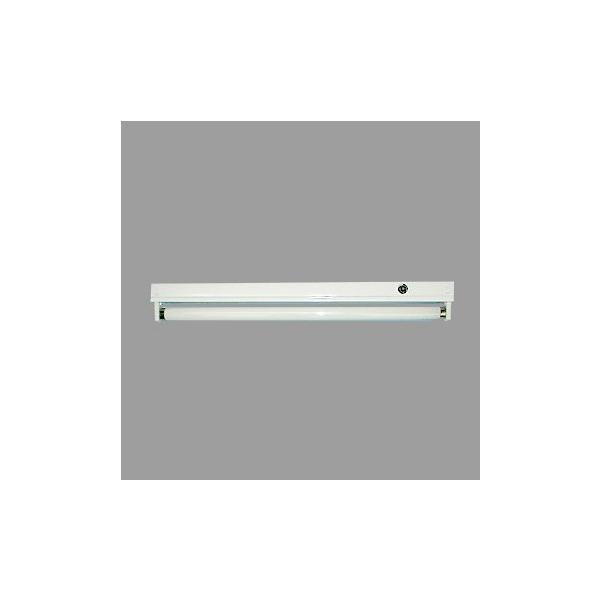 m[x@u }Ȃ^Ɩ(gt) FL20`×1 FL20W 100V O[X^[^` 1p [qt 50Hz vE_Ǖʔ@FT-20-100 [qt 50Hz