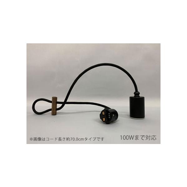 㓡Ɩ@z_Ng[py_g h R[h40cm E26 vʔ Md100W܂őΉ@GLF-0300BK-40DP 󒍐Yi