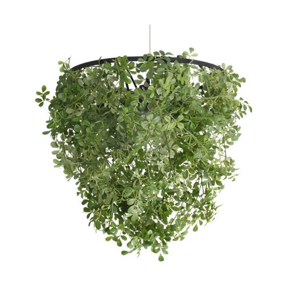 DI CLASSE（ディクラッセ） ペンダントランプ ミニフォレスティ/Mini