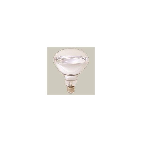 岩崎　屋外投光器用アイランプ（レフランプ）　散光形　１１０Ｖ用　１００Ｗ形　Ｅ２６口金　省電力形　RF110V90WH