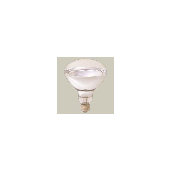 アイランプ　岩崎　RF110V 90W 電球 10個セット たのめーる】岩崎電気 屋外投光用アイランプ 散光形 100W形 E26