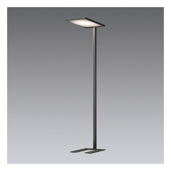 ENDO@LEDtAX^h Synca 5500^Cv  12000K-1800K ㉺z @SXF7501B ivtj