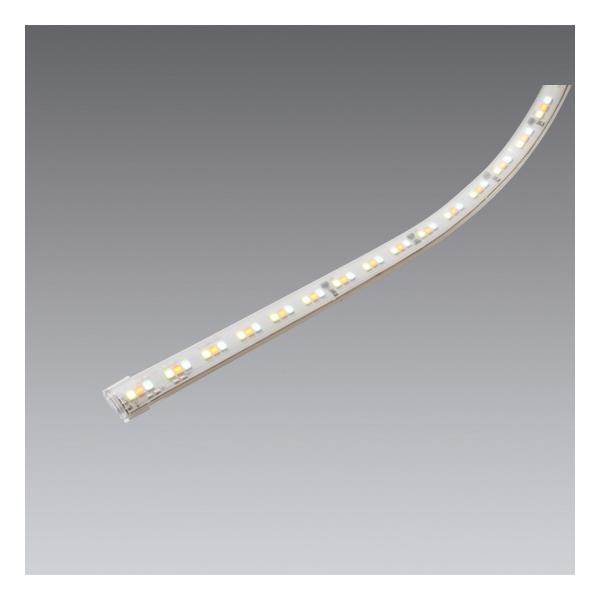 alllight_sxx9007x-endo